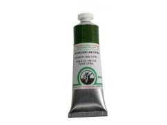 Olejová barva Old Holland B292 Sapgreen lake extra